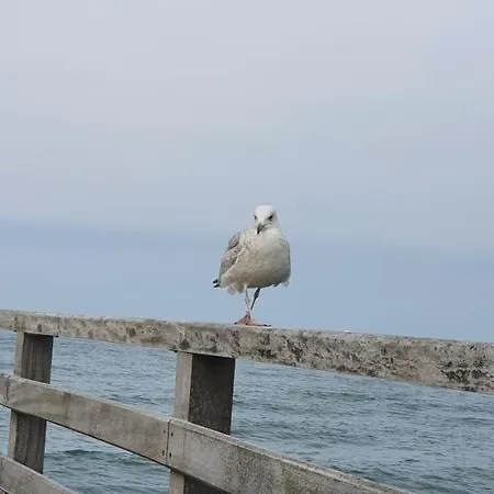 公寓 Kliemkiker, Naehe Binz In Traumhafter Alleinlage *
