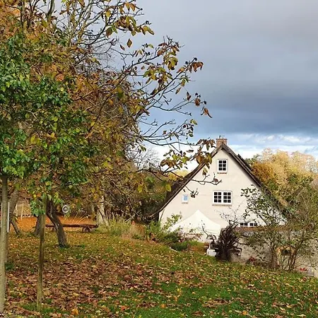 Kliemkiker, Naehe Binz In Traumhafter Alleinlage 公寓 Zirkow