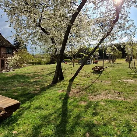 Kliemkiker, Naehe Binz In Traumhafter Alleinlage 公寓 *