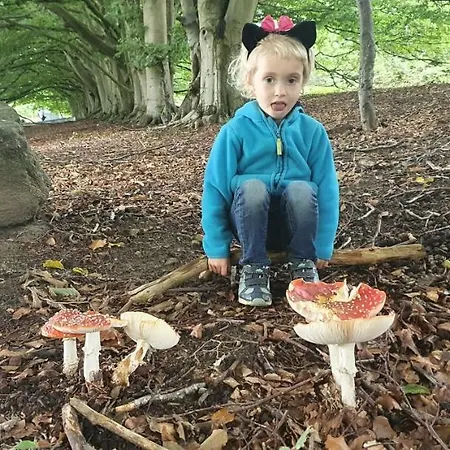 公寓 Kliemkiker, Naehe Binz In Traumhafter Alleinlage Zirkow