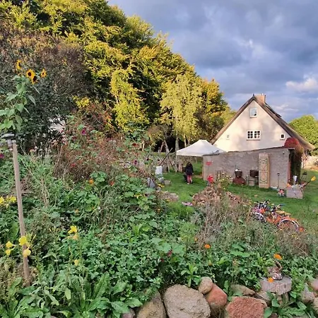 Kliemkiker, Naehe Binz In Traumhafter Alleinlage 公寓 *