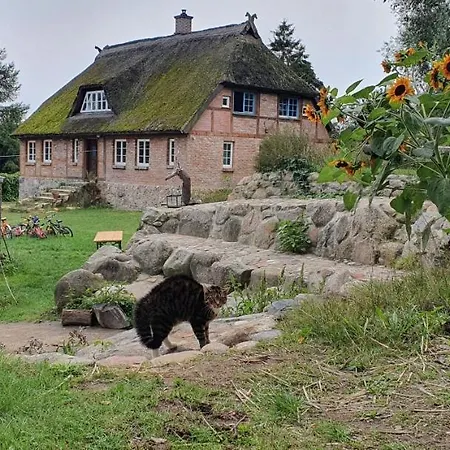 公寓 Kliemkiker, Naehe Binz In Traumhafter Alleinlage