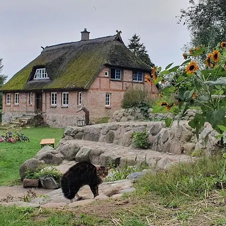 公寓 Kliemkiker, Naehe Binz In Traumhafter Alleinlage Zirkow