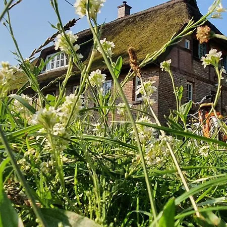 Kliemkiker, Naehe Binz In Traumhafter Alleinlage 公寓 *